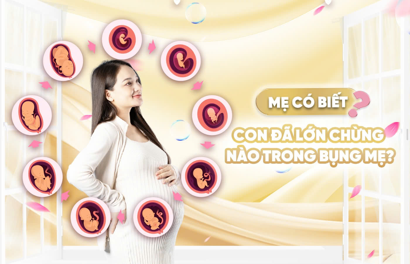Mẹ có biết con đã lớn chừng nào trong bụng mẹ không?